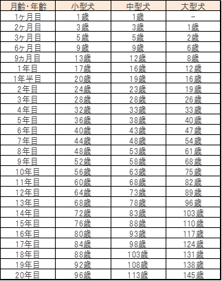 年齢換算表