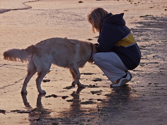 海辺の女性と犬