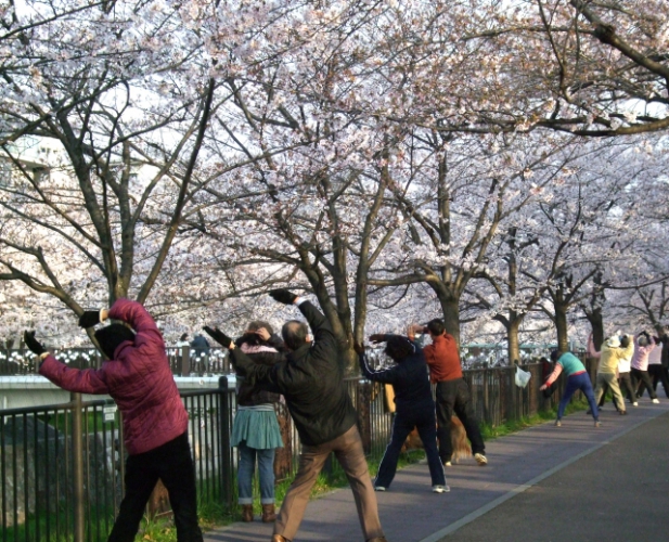 危険からまこる