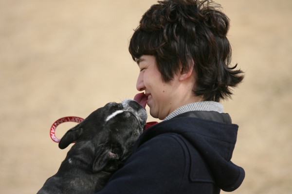 犬と男性キス