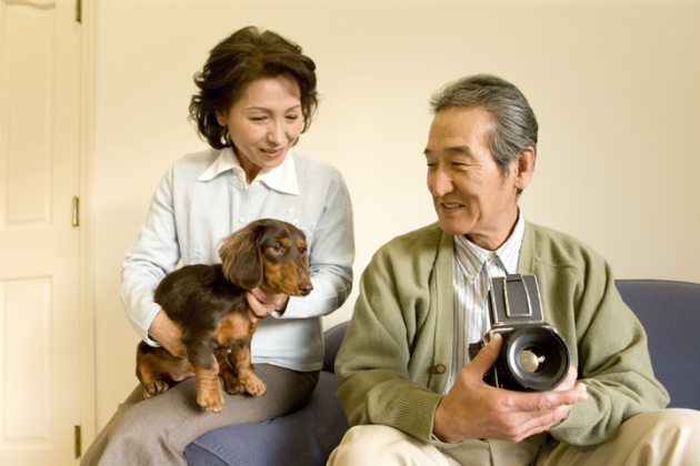 老犬の寒さ対策