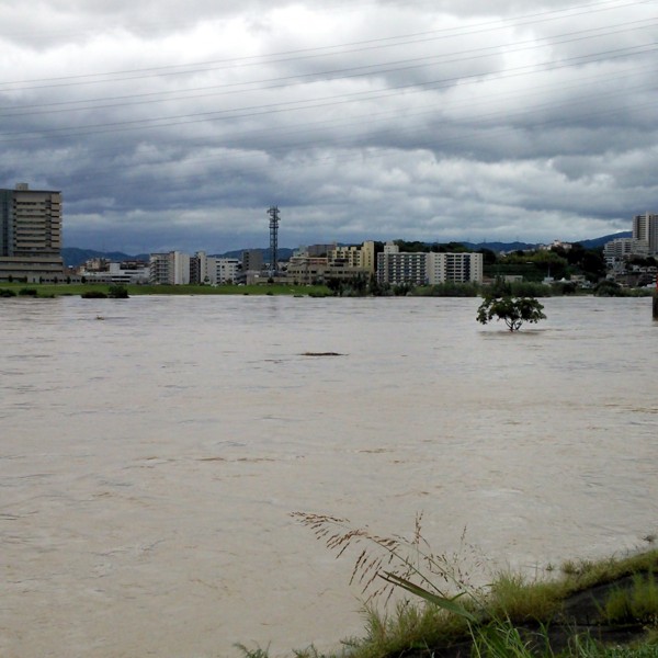 平成25年台風18号淀川河川増水