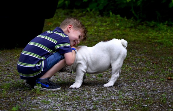 子供と犬