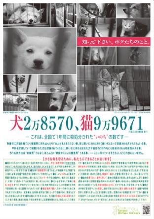 犬、猫、殺処分啓発ポスター