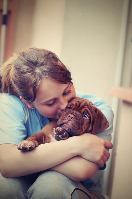 犬と女の子