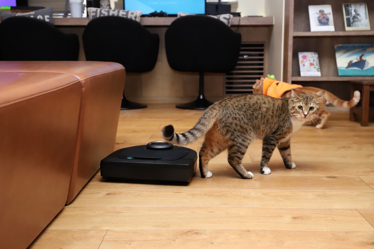 人気猫カフェでも導入！換毛期の悩みを解決してくれるロボット掃除機