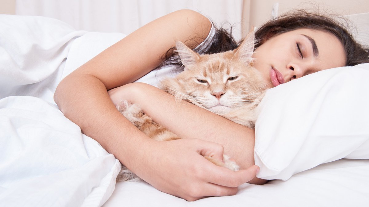 猫が飼い主の『近くで眠らない』のはなぜ？考えられる理由とそばで眠ってもらう方法３つ