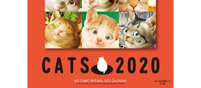 【発売中！】村松誠の『猫犬カレンダー』が可愛い♡