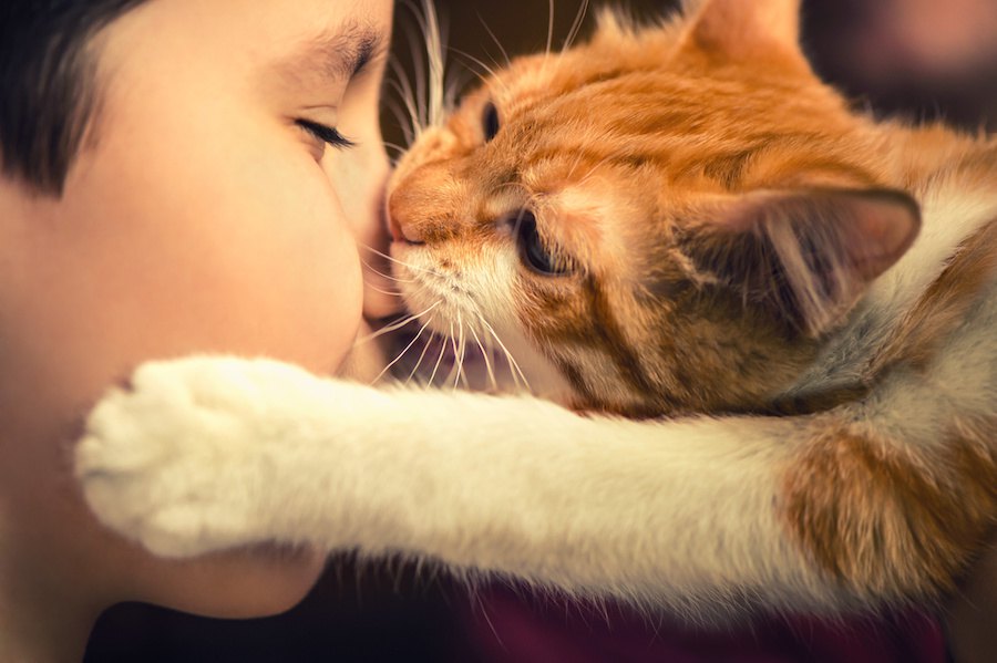 猫が飼い主の顔を噛んでくる５つの理由