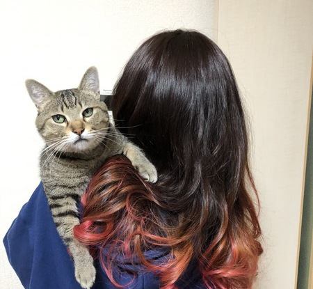 猫が人の髪の毛を噛むのはなぜ？５つの理由