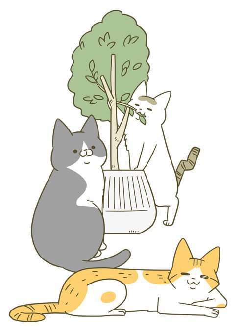 話題の猫の漫画『うちの猫がまた変なことしてる。』をご紹介！著者の『卵山 玉子』さんへインタビュー