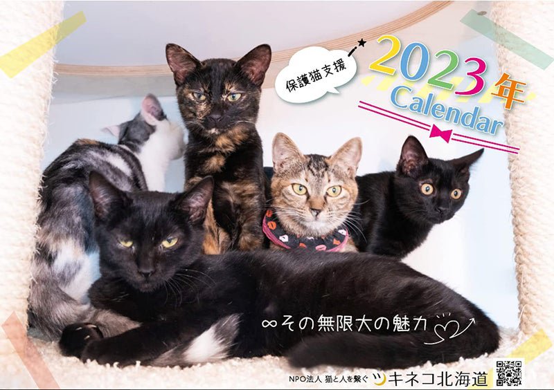 カレンダー購入で保護猫支援ができる！「NPO猫と人を繋ぐ ツキネコ北海道」から2023年度版カレンダーが発売されました。