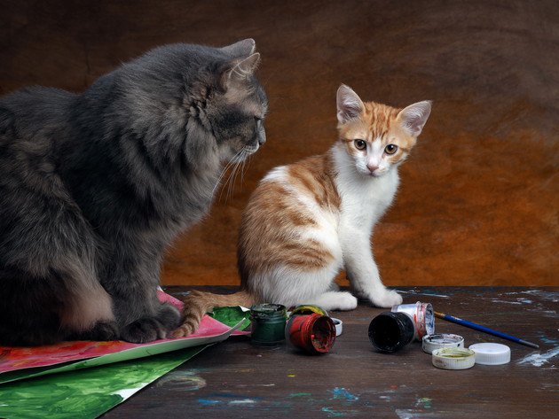 猫で有名な画家「ルイス・ウェイン」作品と心の病
