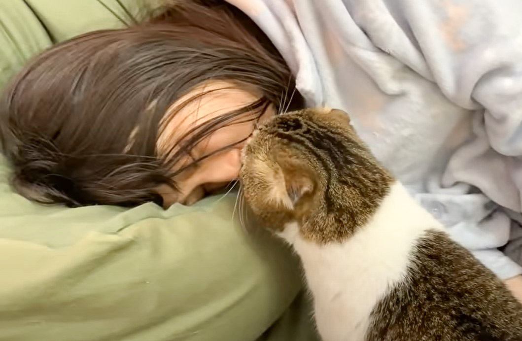 猫が『寝ているママにキス』した結果…頑張って起こそうとする様子が愛おしいと52万6000再生「かっこよすぎ」「反則技」の声