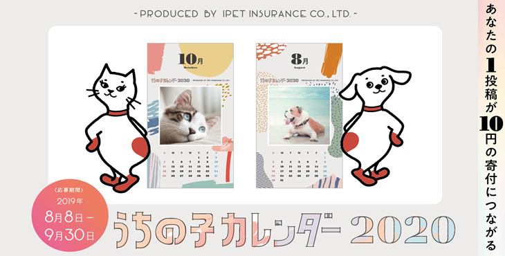 【愛猫の写真を投稿してカレンダーモデルになろう！】