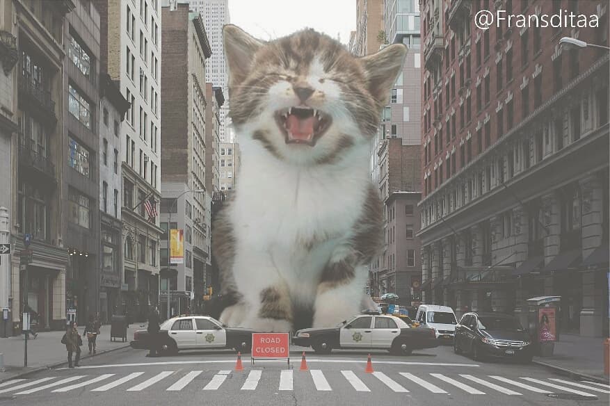街に巨大猫出現!?話題のアート「猫ゴジラ」とは？