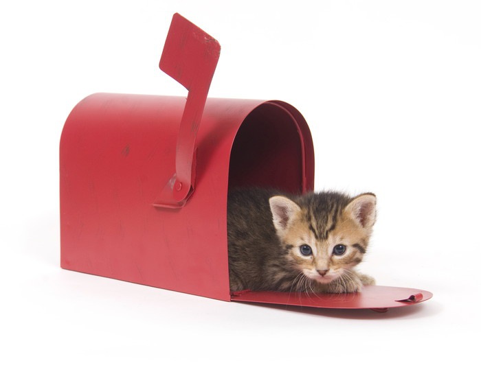 猫の切手可愛い商品5選！購入できる場所や可愛いデザイン