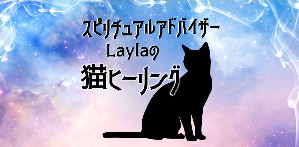 Laylaの猫コラム 「猫と雨」のスピリチュアルな関係