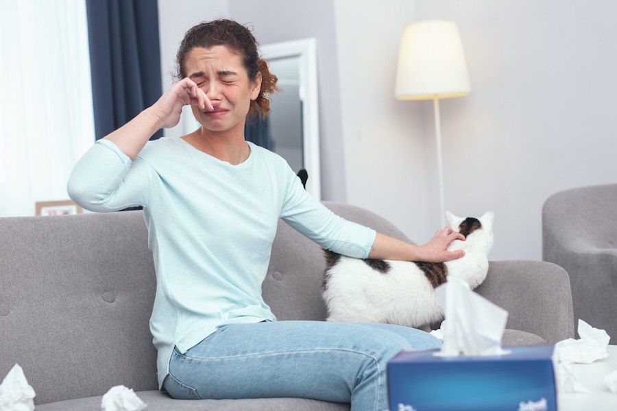 猫アレルギーで目に出る症状、原因や治療の方法まで