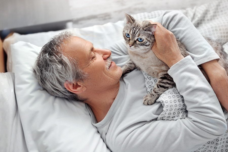 猫が『寝ている飼い主の上に乗ってくる』理由３選！愛猫の気持ちを汲んだ対応方法とは？