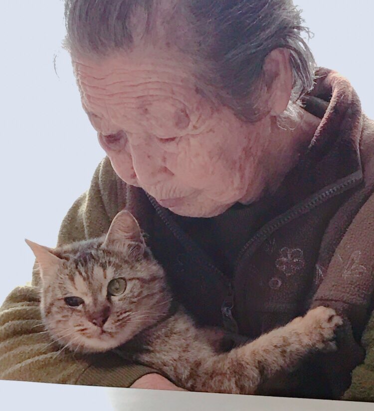 猫を愛するおばあちゃんの保護猫活動が話題！チャリティーコースターで支援を