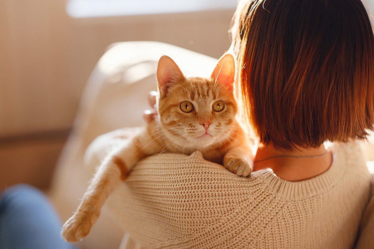 愛猫が飼い主さんに「依存」してしまうのはなぜ？3つの理由と対処法