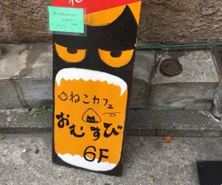 居心地良し！ 個性的で優しさに溢れた横浜にある保護猫カフェ「おむすび」