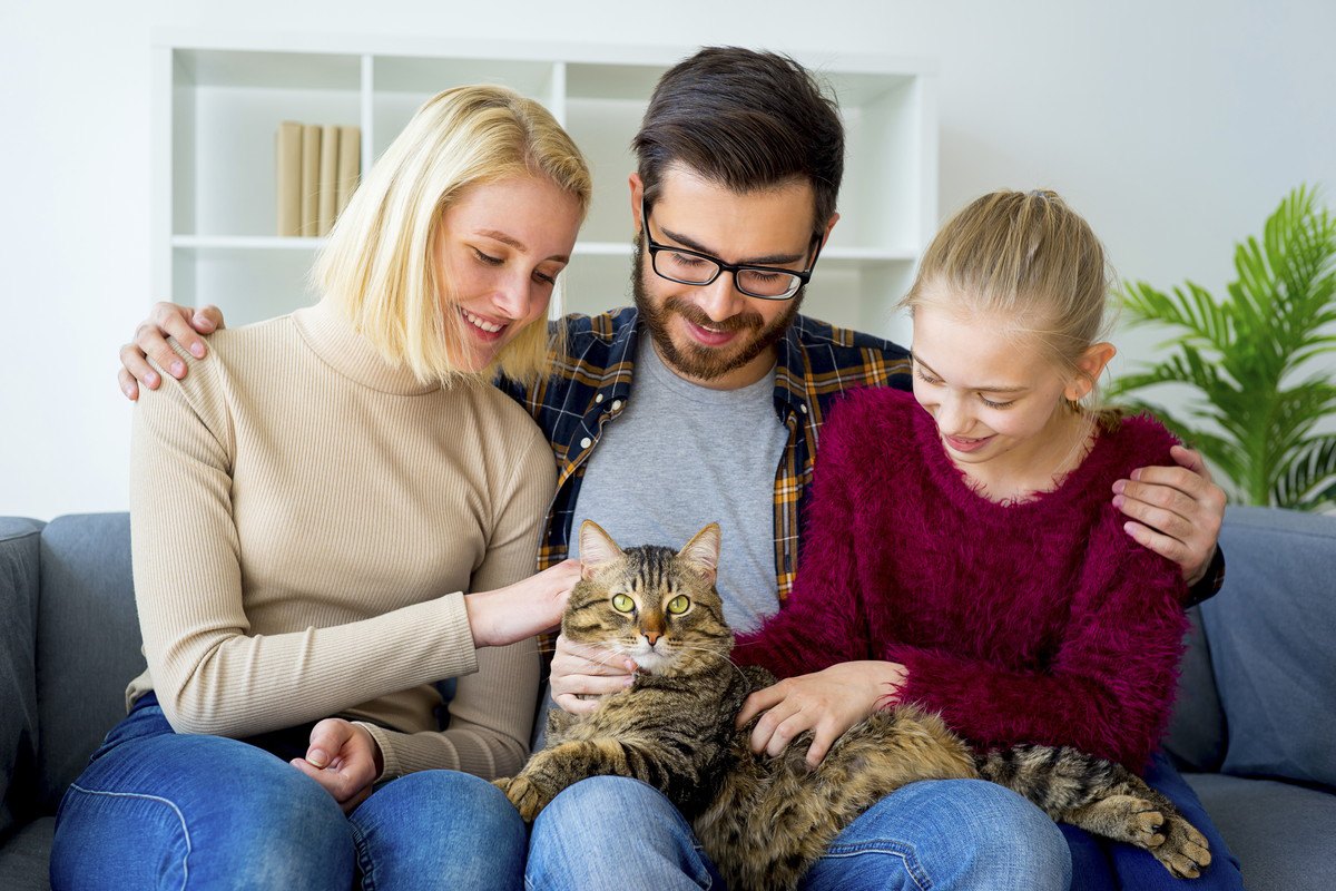 猫が家族に『順位づけ』をする時の法則3つ！上位の家族にだけする行動とは？