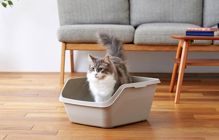 猫のトイレ「HY cat」新発売！完璧すぎるその特長とは？