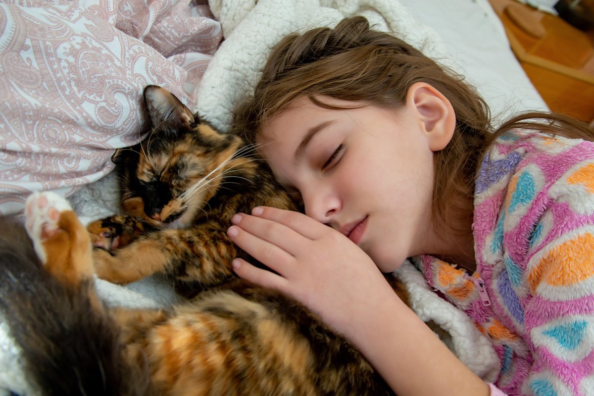 猫と『一緒に寝る』ときは要注意！4つの絶対NG行為とは