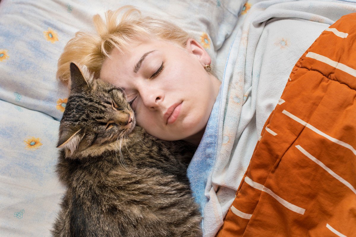 猫が『添い寝』するのはなぜ？5つの意味