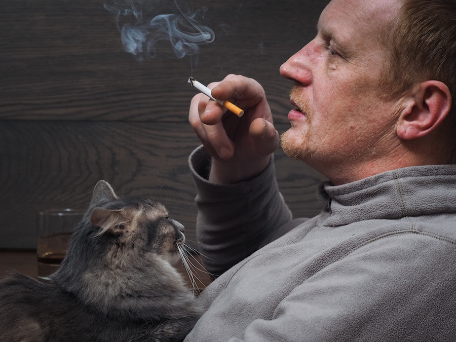 百害あって一利なし...タバコが猫に与えるリスクと吸いたい人の対処法