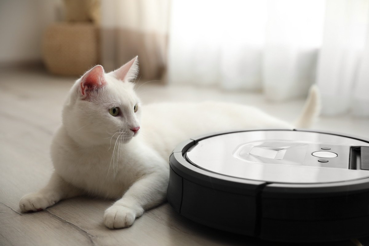 猫はなぜ『お掃除ロボット』に乗りたがる？考えられる4つの理由　やめさせた方がいい？