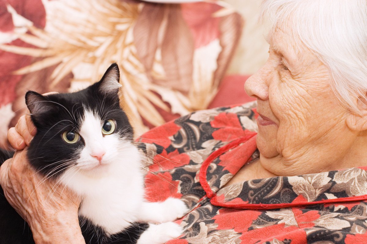 猫と人間の『老化』で起こる3つの問題！今から備えるべきことは？