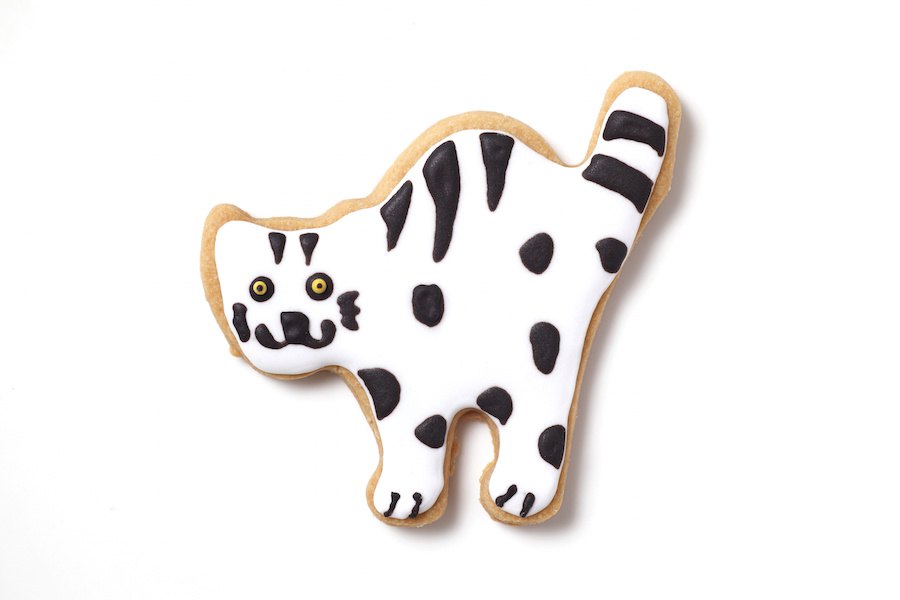 猫のアイシングクッキーがかわいい！おすすめ商品や作り方