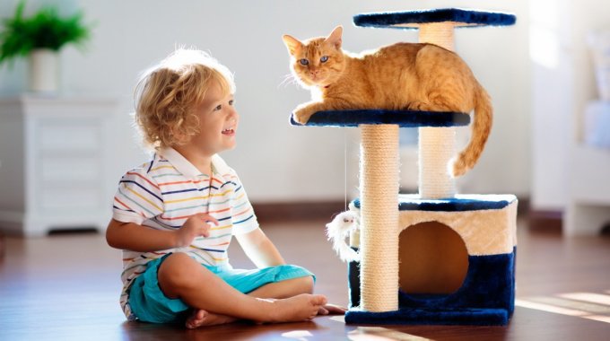 猫の『人間の子供』と共通する行動3つ！知能レベルは人の何歳くらいなの？