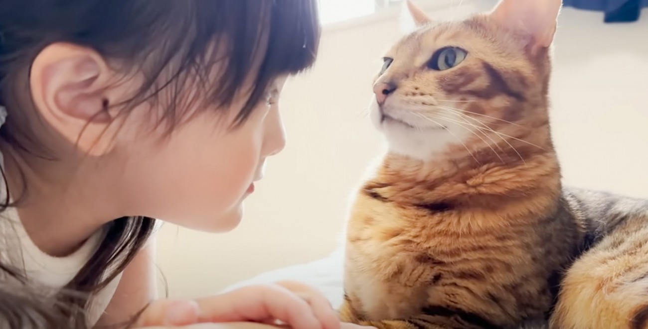 大人が肉球に触れると『絶対に噛む猫』に5歳の娘が触った結果…明らかな対応の違いが23万6000再生の大反響「笑顔になった」「癒し」