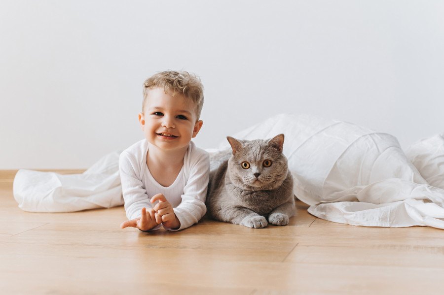 猫と幼児の暮らし 注意すべき4つのこと