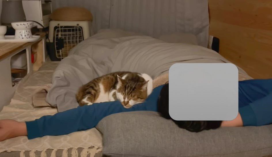 車中泊の夜に猫を撮ってみた結果…飼い主が寝ている間の行動に癒やされる人続々 『表情がたまらない』『こんな旅してみたい』と反響