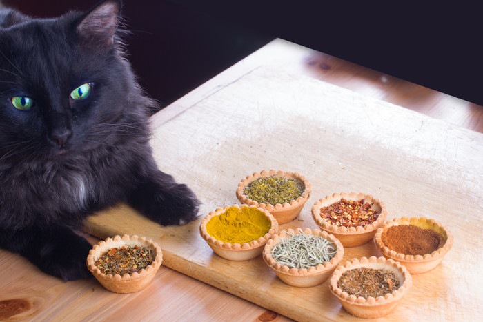 猫が山椒を食べても大丈夫？危険な3つの理由と対処法