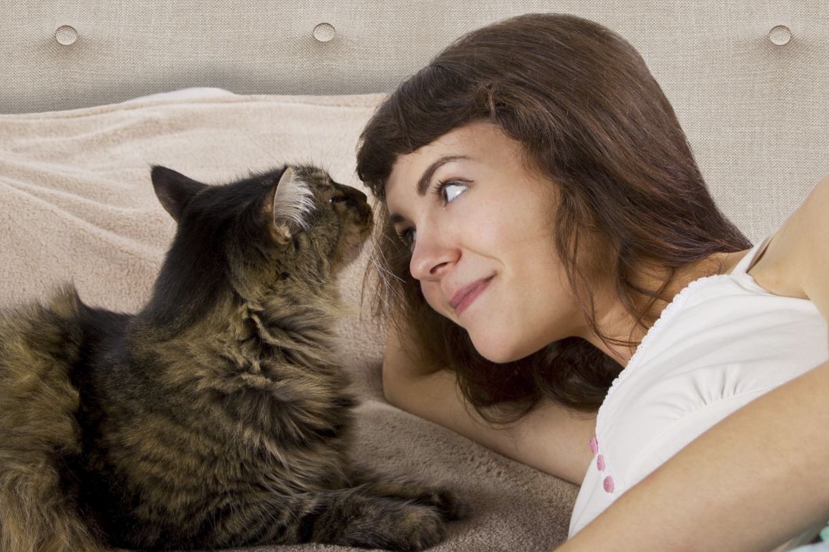 猫が飼い主と一緒に寝る7つの理由とは？心理や眠るときの注意点