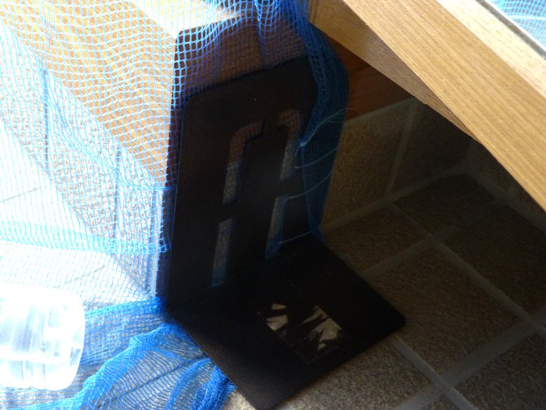 玄関からの猫の脱走防止！100均のものでネットカーテンを手作りしてみました