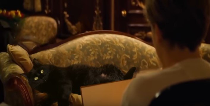 【コラ映画猫】アウル・キティが挑む「タイタニック」息をのむ名場面！