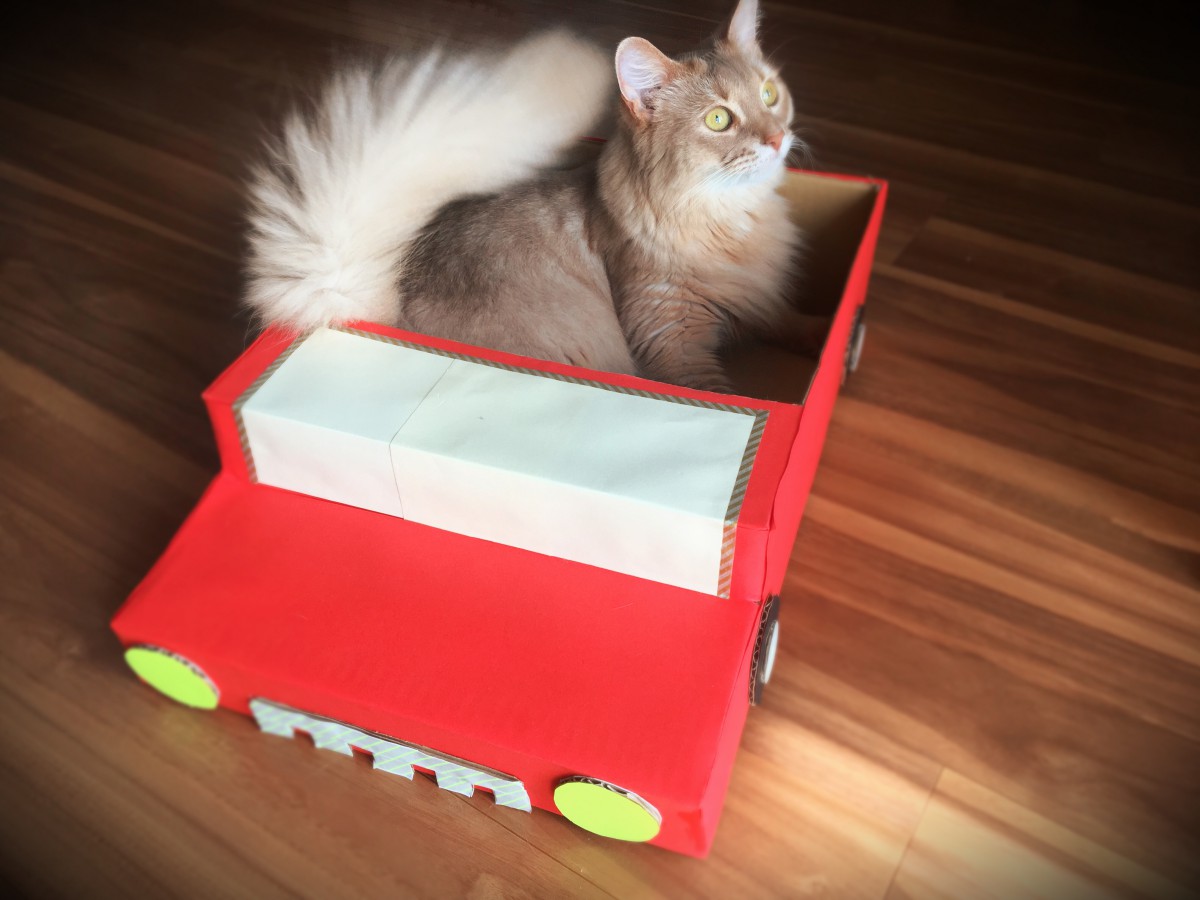 猫のためのDIY♪ひと手間加えて『オープンカー風ダンボールハウス』を作ってみた♪