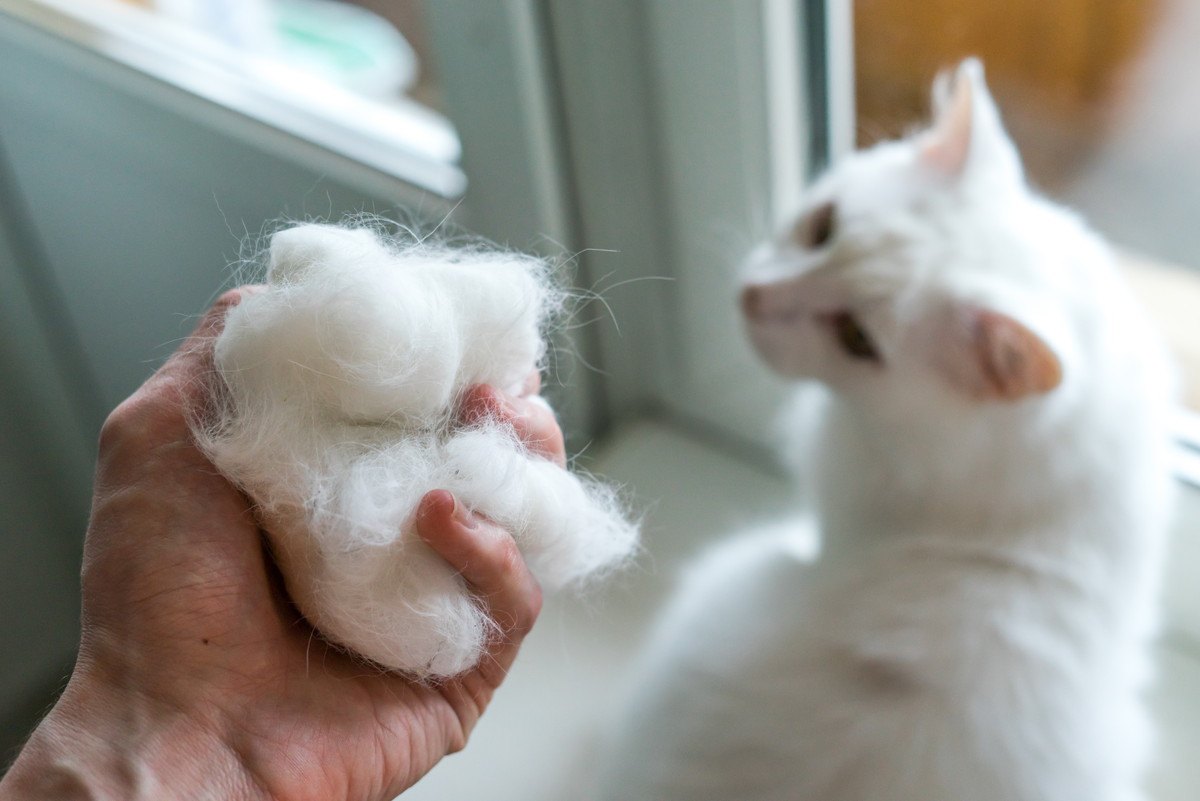 猫が『毛球症』になる3つの原因とは？その症状と対処法を解説！