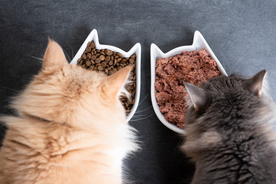 猫が『早食い』になってしまう３つの原因！そのデメリットと対策