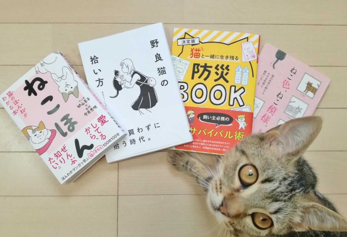 猫の本を多数執筆！ライター『富田園子さん』にインタビュー