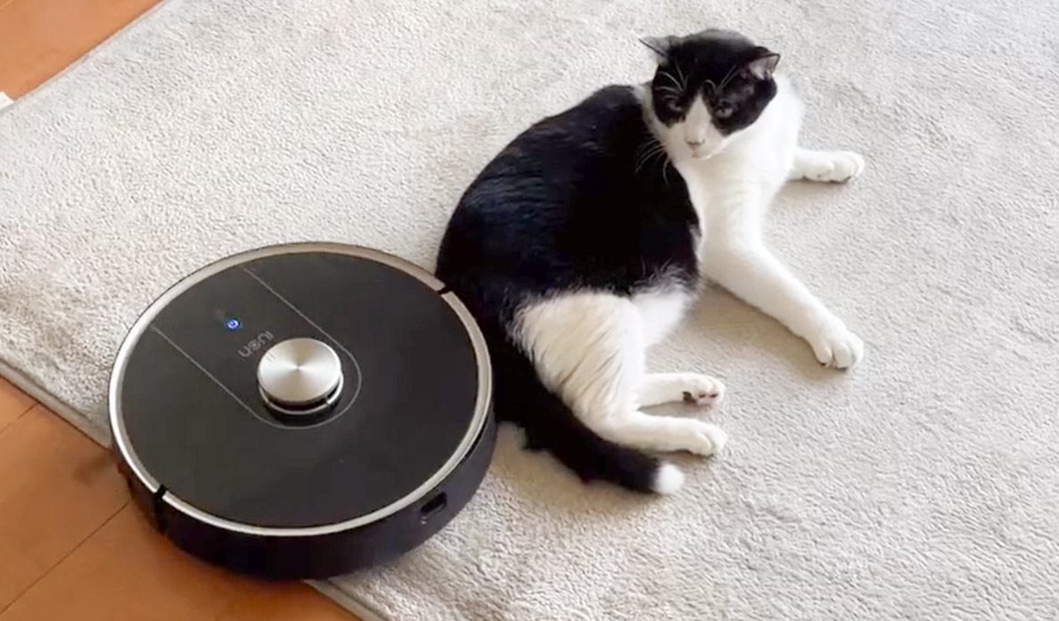 猫が『ロボット掃除機』の邪魔をした結果…"全く動じない姿"が面白すぎると129万再生「大物」「マッサージだと思ってる？ｗ」と反響
