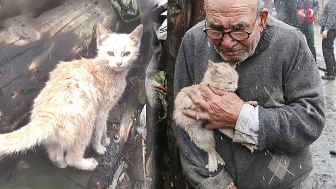 火事で家が全焼した猫とおじいさん。途方に暮れる中で起こった奇跡的な展開とは？