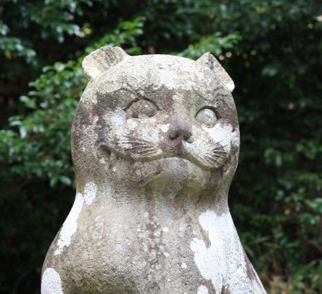 日本唯一の『狛猫（こまねこ）』がいる神社「京都 金刀比羅神社」